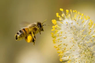 AdobeStock_2928448